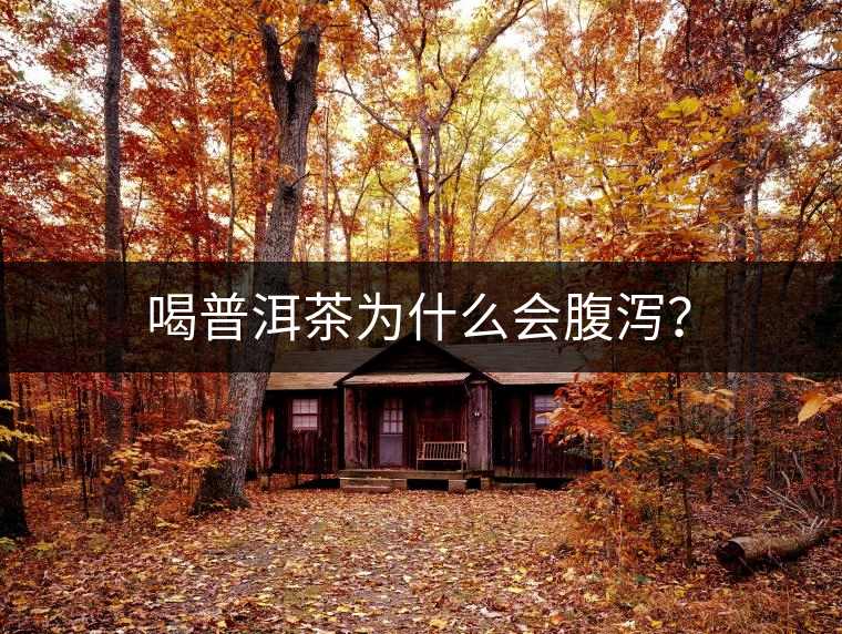 喝普洱茶為什么會(huì)腹瀉？