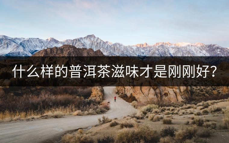 什么樣的普洱茶滋味才是剛剛好？