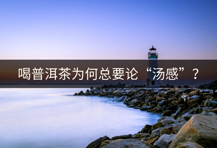 喝普洱茶為何總要論“湯感”？