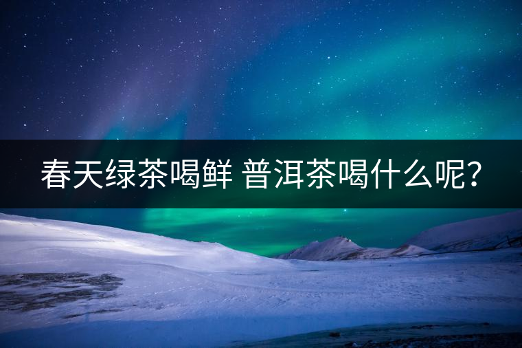 春天綠茶喝鮮 普洱茶喝什么呢？