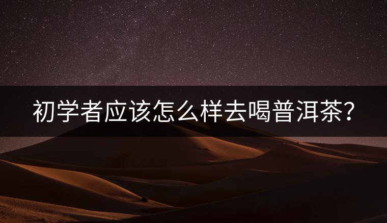 初學者應該怎么樣去喝普洱茶？