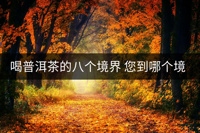 喝普洱茶的八個境界 您到哪個境界了？