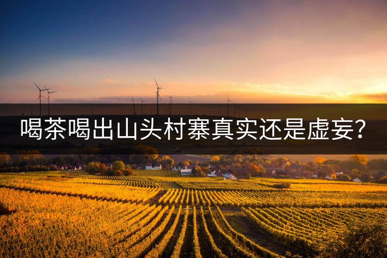 喝茶喝出山頭村寨真實(shí)還是虛妄？