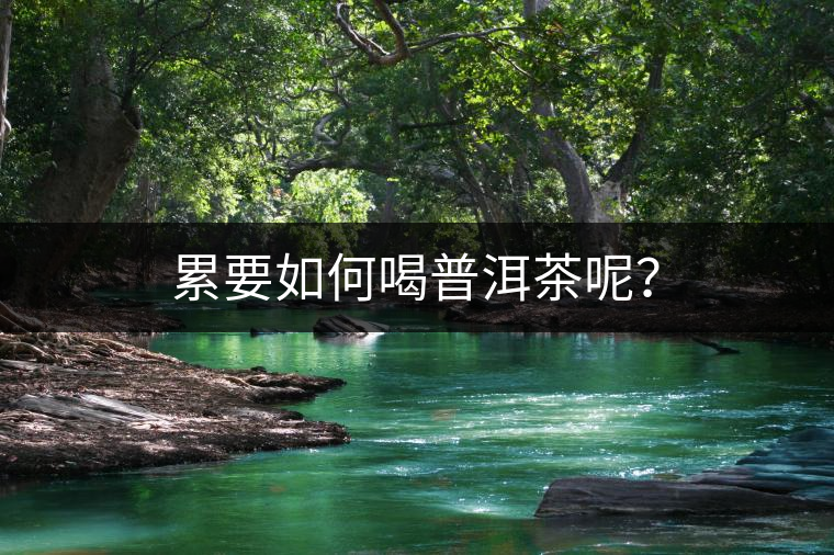 累要如何喝普洱茶呢？