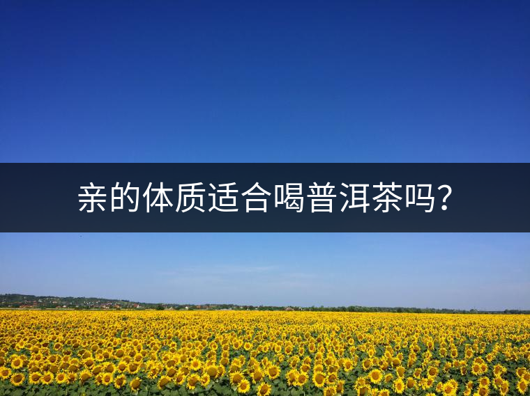 親的體質(zhì)適合喝普洱茶嗎？