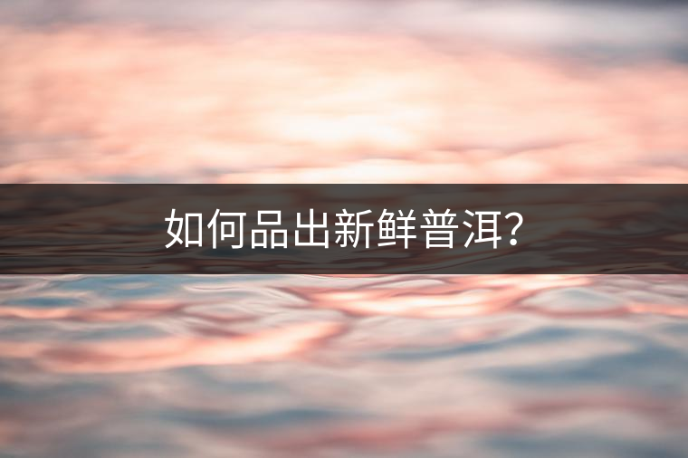 如何品出新鮮普洱？