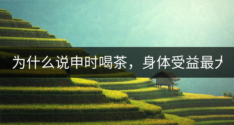 為什么說申時喝茶，身體受益最大？