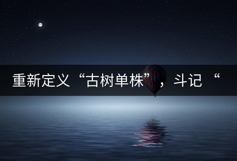 重新定義“古樹單株”，斗記 “超級審評”有償招募告罄在即！