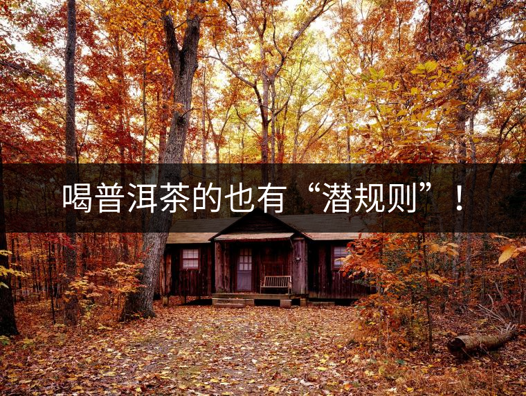 喝普洱茶的也有“潛規(guī)則”！