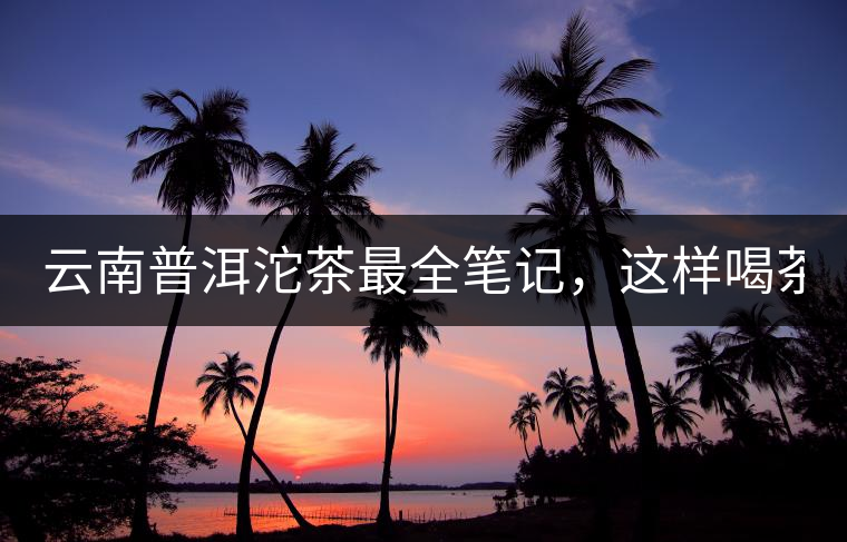 云南普洱沱茶最全筆記，這樣喝茶才更健康！