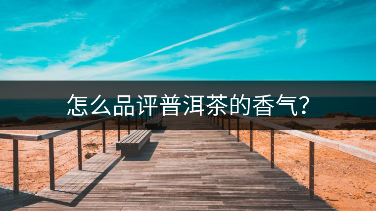 怎么品評(píng)普洱茶的香氣？
