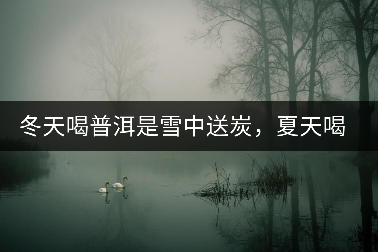 冬天喝普洱是雪中送炭，夏天喝就是火上澆油了？