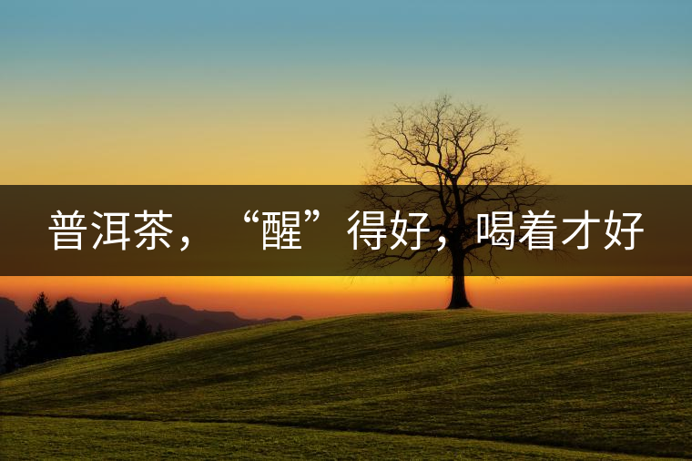 普洱茶，“醒”得好，喝著才好