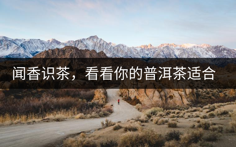 聞香識茶，看看你的普洱茶適合現(xiàn)在喝還是以后喝？