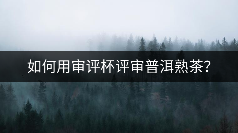 如何用審評杯評審普洱熟茶？