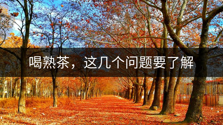 喝熟茶，這幾個(gè)問題要了解