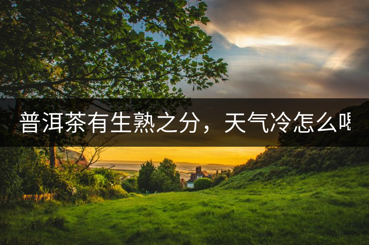 普洱茶有生熟之分，天氣冷怎么喝？