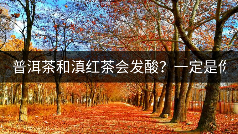 普洱茶和滇紅茶會(huì)發(fā)酸？一定是你這么做了！