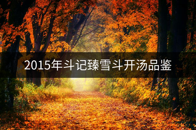 2015年斗記臻雪斗開(kāi)湯品鑒