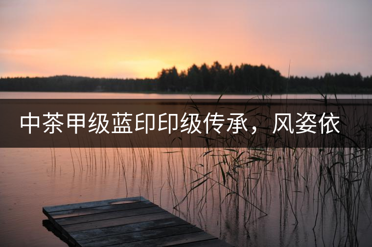 中茶甲級(jí)藍(lán)印印級(jí)傳承，風(fēng)姿依舊