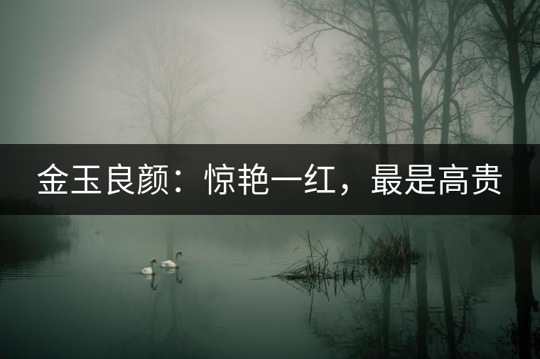 金玉良顏：驚艷一紅，最是高貴