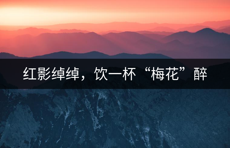 紅影綽綽，飲一杯“梅花”醉
