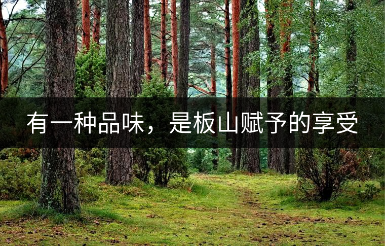 有一種品味，是板山賦予的享受