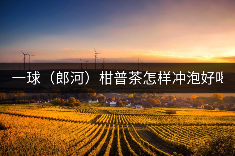 一球（郎河）柑普茶怎樣沖泡好喝？