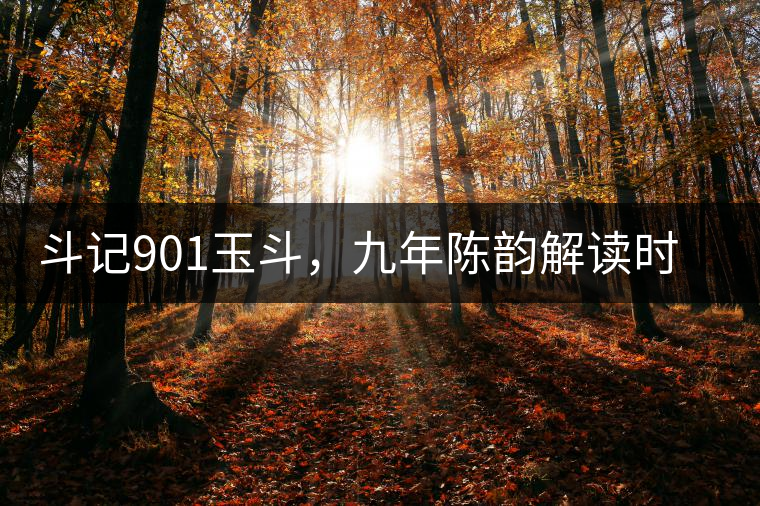 斗記901玉斗，九年陳韻解讀時間之味