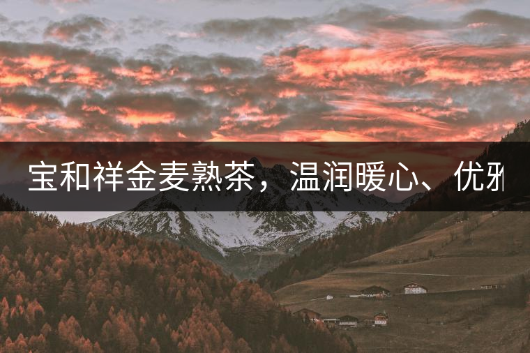 寶和祥金麥熟茶，溫潤暖心、優(yōu)雅迷人。