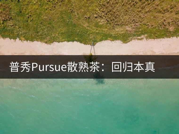 普秀Pursue散熟茶：回歸本真，一款高性?xún)r(jià)比口糧散熟茶