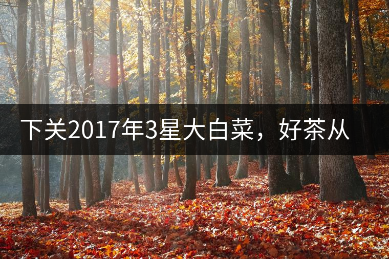 下關(guān)2017年3星大白菜，好茶從未中斷