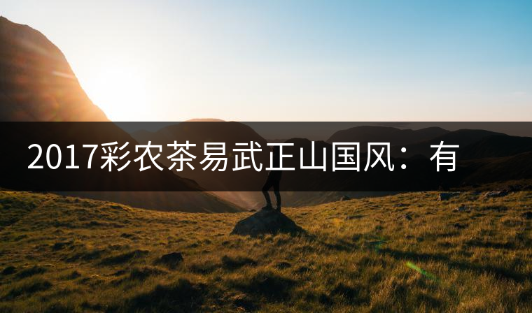 2017彩農(nóng)茶易武正山國風(fēng)：有茶韻，亦有國風(fēng)