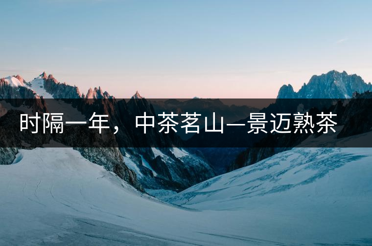 時隔一年，中茶茗山—景邁熟茶有哪些變化