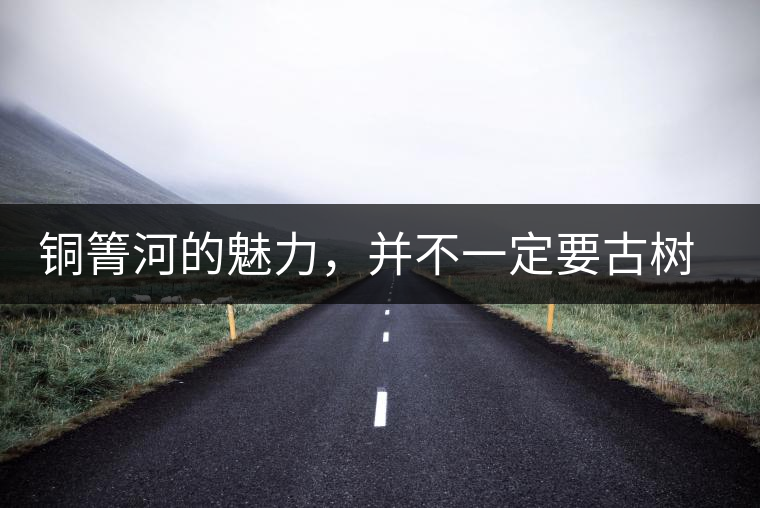 銅箐河的魅力，并不一定要古樹來體現