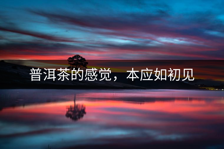 普洱茶的感覺(jué)，本應(yīng)如初見(jiàn)