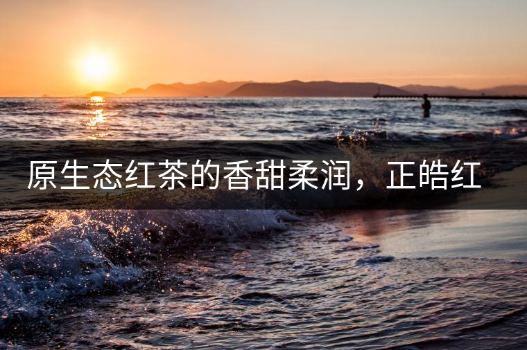 原生態(tài)紅茶的香甜柔潤(rùn)，正皓紅的魅力無可抵擋！