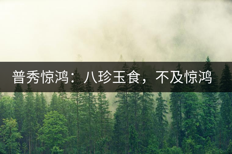 普秀驚鴻：八珍玉食，不及驚鴻一湯