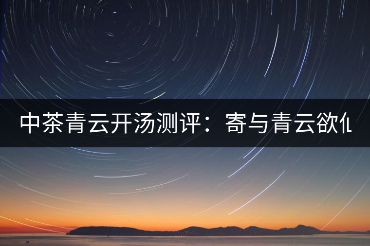 中茶青云開湯測評：寄與青云欲仙客 一甌相映兩無塵