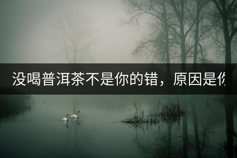 沒(méi)喝普洱茶不是你的錯(cuò)，原因是你還沒(méi)遇到Y(jié)671與Y562