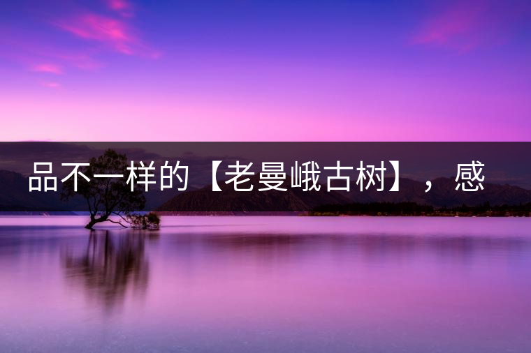 品不一樣的【老曼峨古樹(shù)】，感受別樣甘甜與溫婉