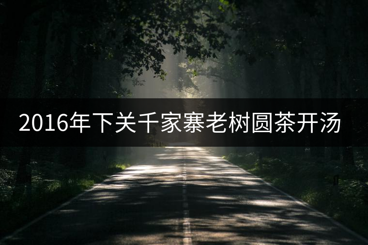 2016年下關(guān)千家寨老樹(shù)圓茶開(kāi)湯品鑒