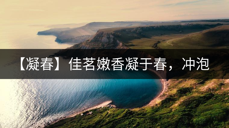 【凝春】佳茗嫩香凝于春，沖泡要訣盡在此