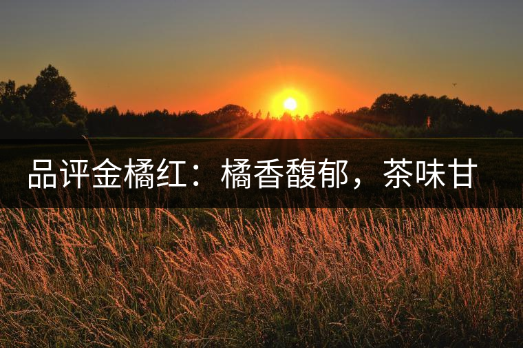品評(píng)金橘紅：橘香馥郁，茶味甘醇，匠心拼配，臻于至善