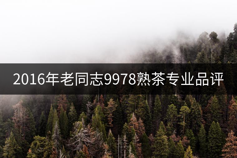 2016年老同志9978熟茶專業(yè)品評 2016年老同志9978熟茶專業(yè)品評