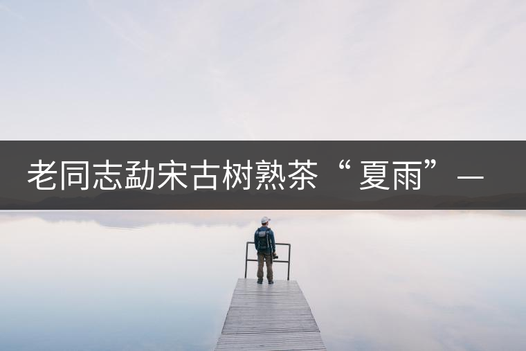 老同志勐宋古樹熟茶“ 夏雨”— 飲茶伴夏，只為您！