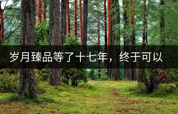 歲月臻品等了十七年，終于可以品味歲月