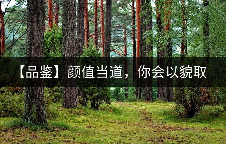 【品鑒】顏值當(dāng)?shù)?，你?huì)以貌取茶嗎？