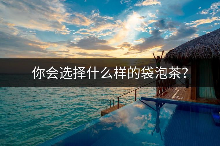 你會(huì)選擇什么樣的袋泡茶？