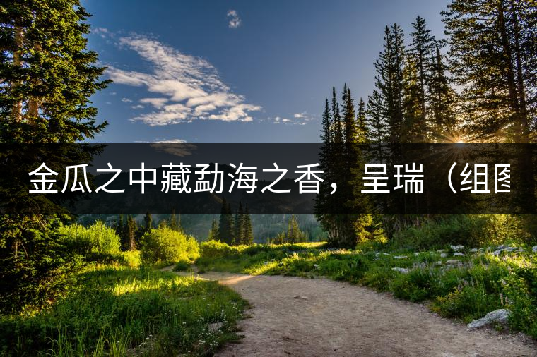 金瓜之中藏勐海之香，呈瑞（組圖）